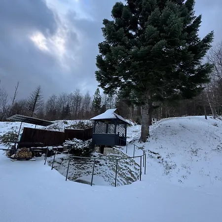 Lodge Vista Yaremche