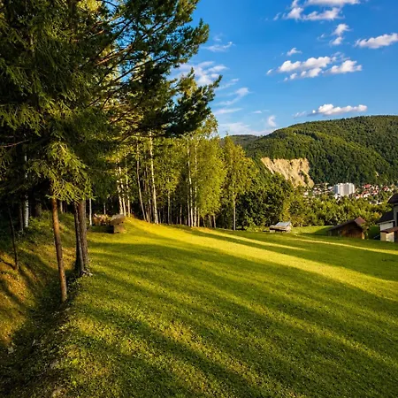 Vista Lodge Yaremche
