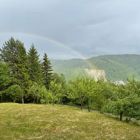 Vista * Yaremche